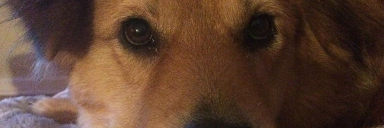 michelea2204's profile banner image