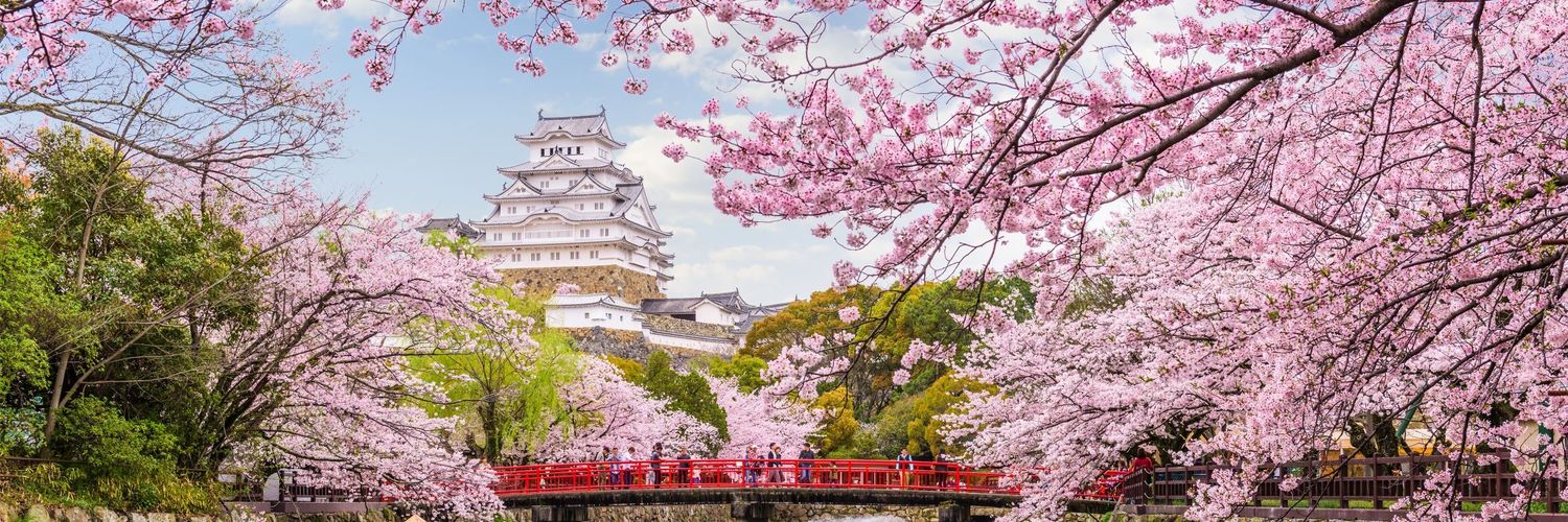 Hempologist's profile banner image
