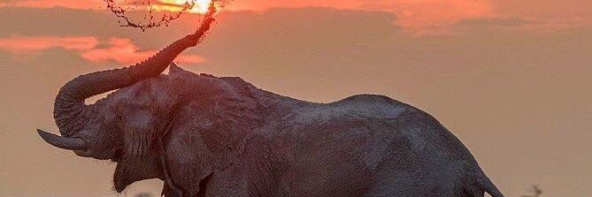 M_khubz's profile banner image