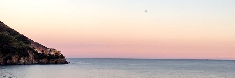 Lindsey Bachmann banner