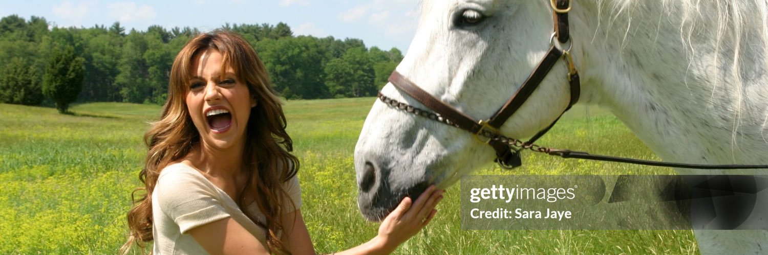 miss bush banner