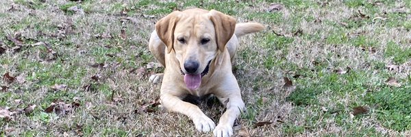 randylillard22 Profile Banner