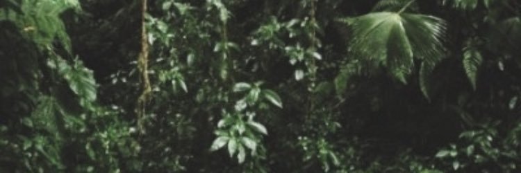 buttahbenzo01's profile banner image