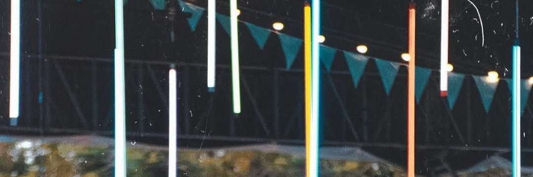 vivillonachn's profile banner image