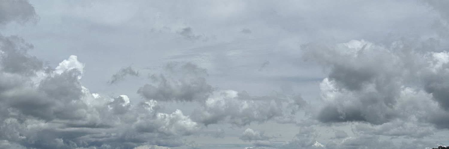 enzollanillo's profile banner image