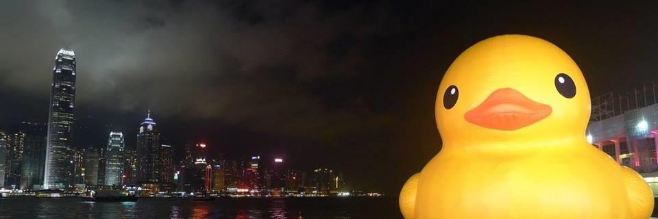 Rubber Duck Project banner