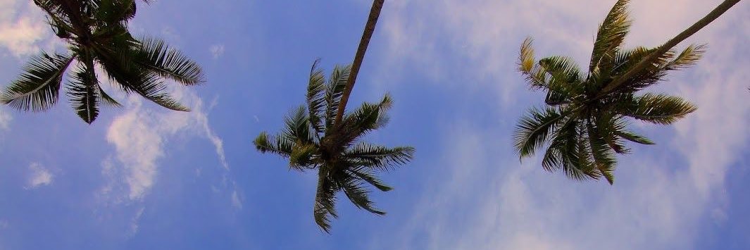 pqsamaraa's profile banner image