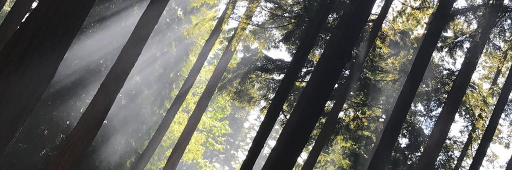 colersward's profile banner image