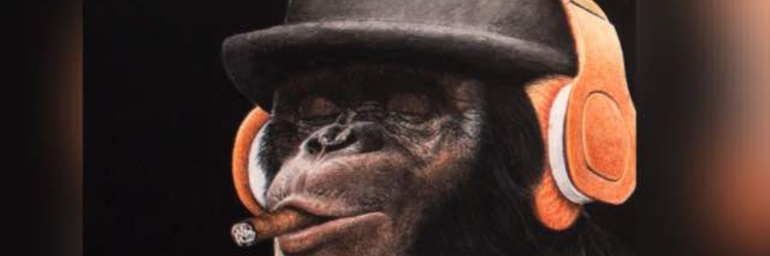 Patoriiky's profile banner image