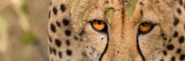 anabami's profile banner image