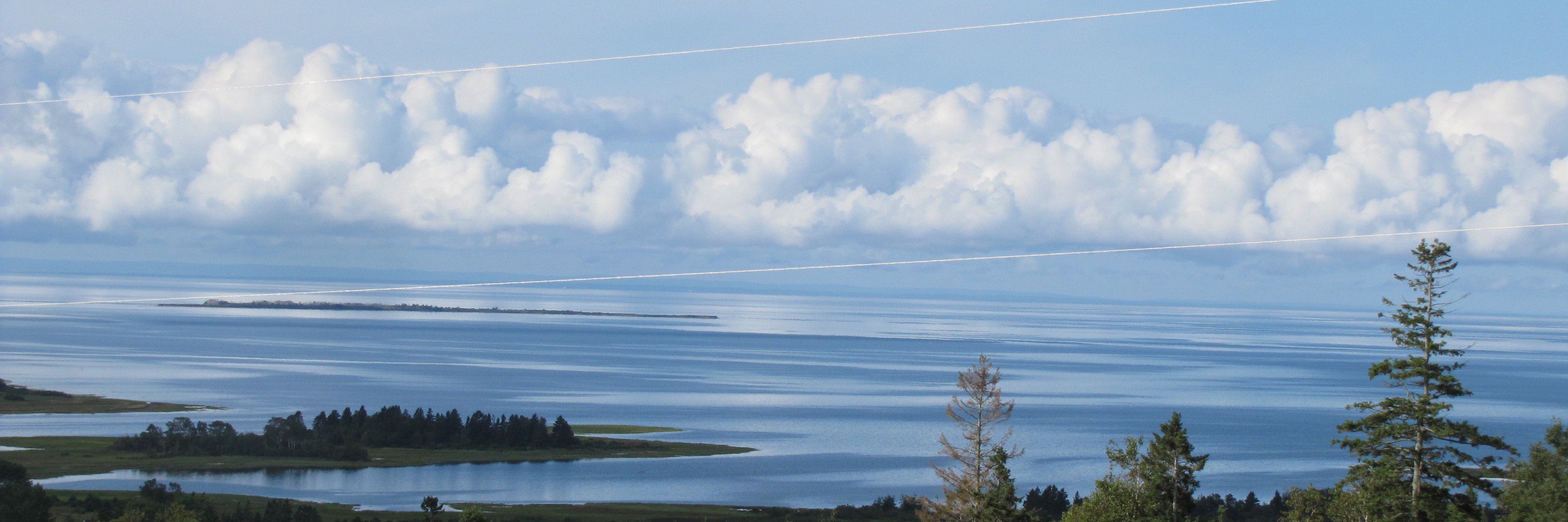 caroline leblanc banner