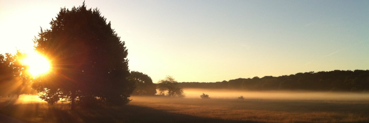 Frerk Schenker banner