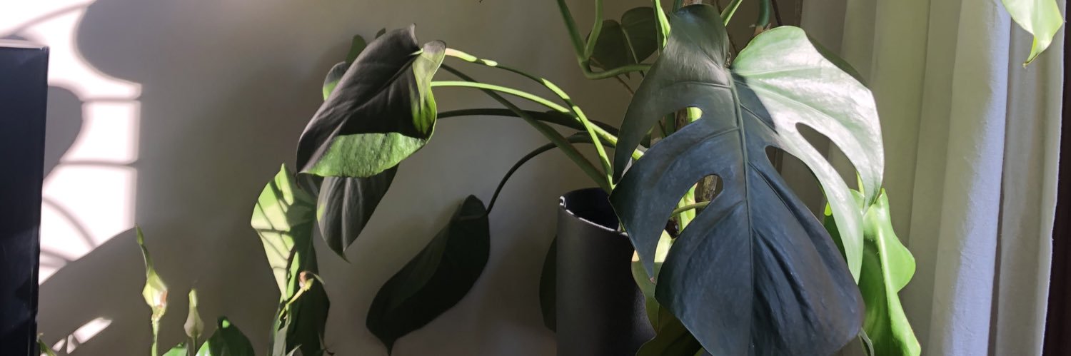 ariadnatoll's profile banner image
