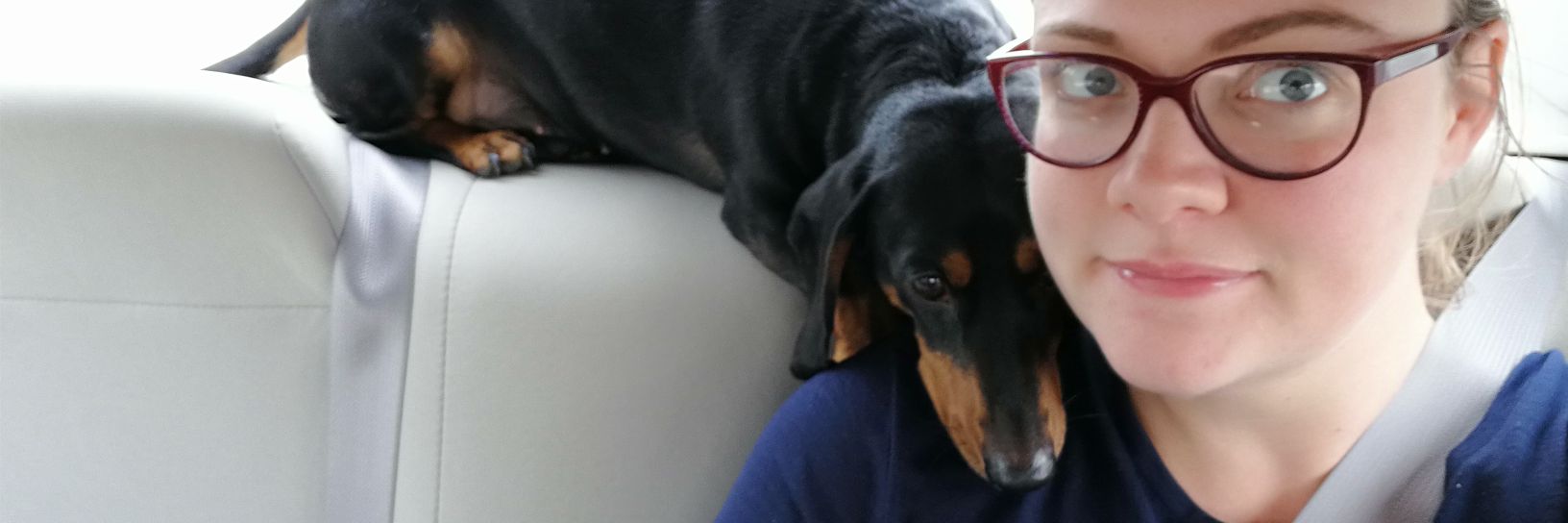 middle_eats's profile banner image