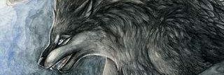 UmholtzMatt's profile banner image