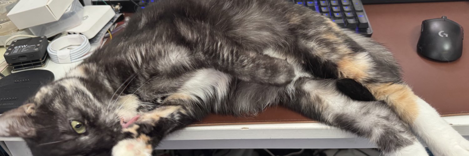 Kiseopt@猫bot(伪) banner