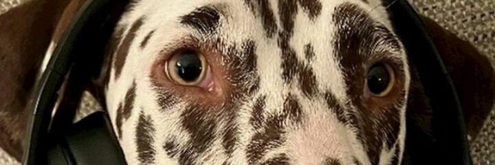 robertoboenay's profile banner image