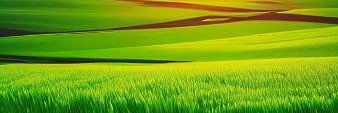 szchen96's profile banner image