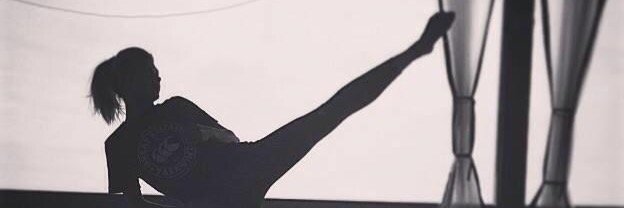 Maddogs Martial Arts banner