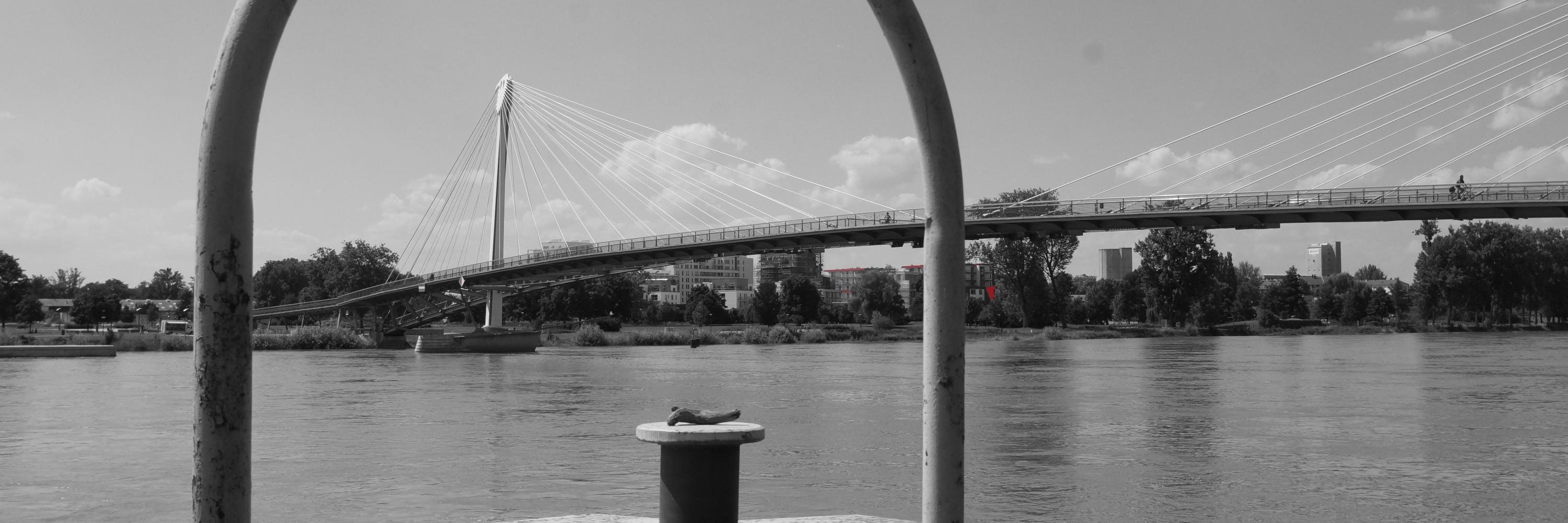 HRBlogging's profile banner image