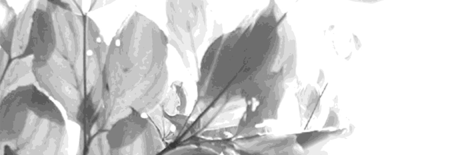 Looser_RR's profile banner image