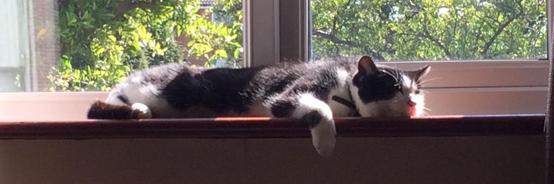 The Revd Jane Winter banner