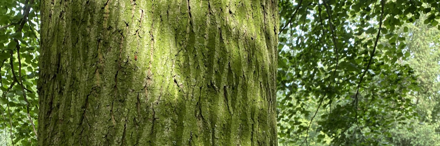 sydneybenjaminx's profile banner image
