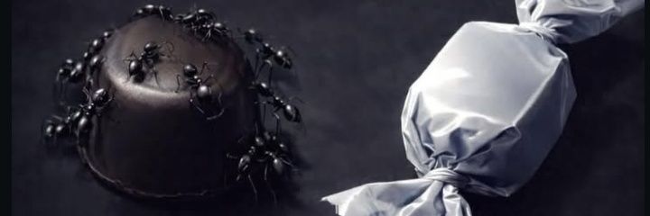 AngelilloMata's profile banner image