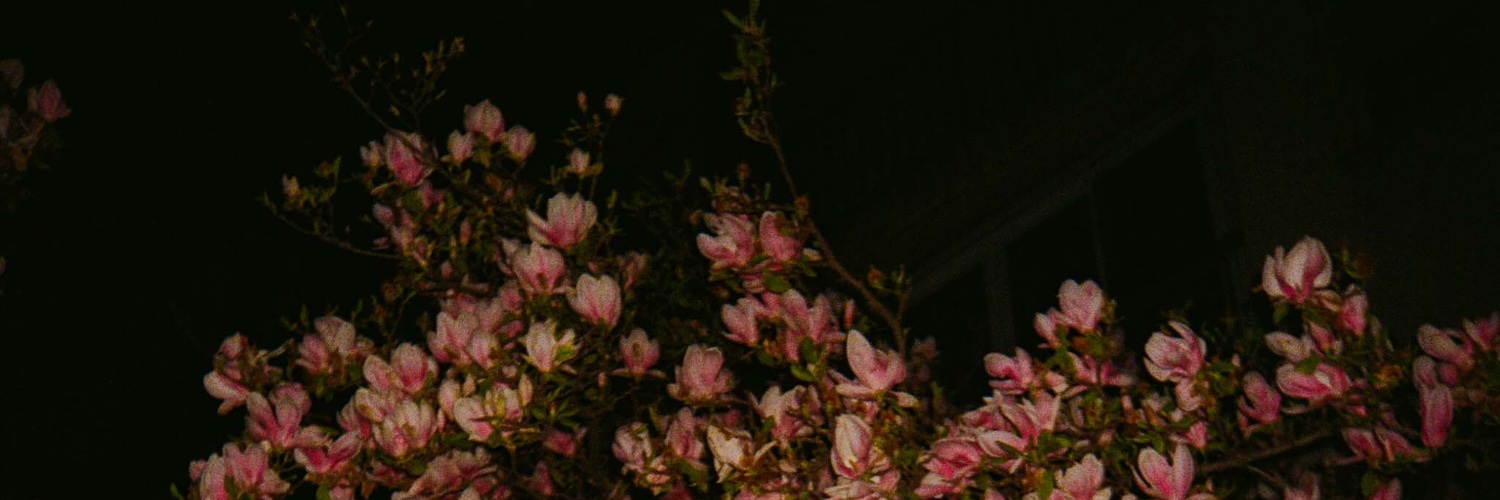 doraaalice's profile banner image