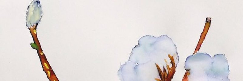chanyeollah's profile banner image