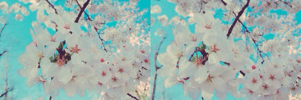 maler026's profile banner image