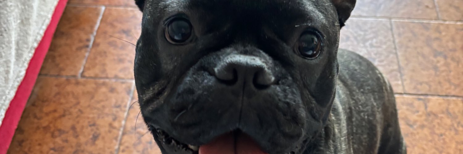 AgusGerry1's profile banner image