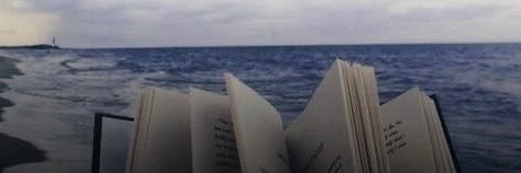leylaaydaan's profile banner image