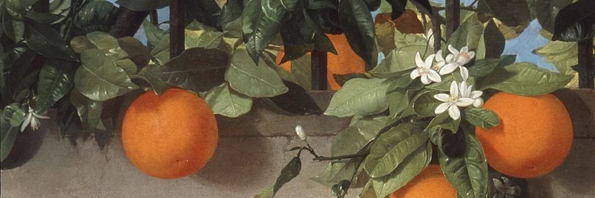 𝒂𝒓𝒊𝒐𝒔𝒐 banner