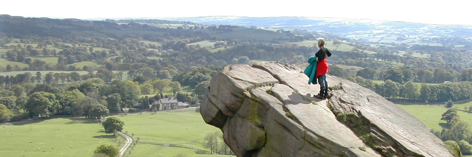 Sarah Rowland banner
