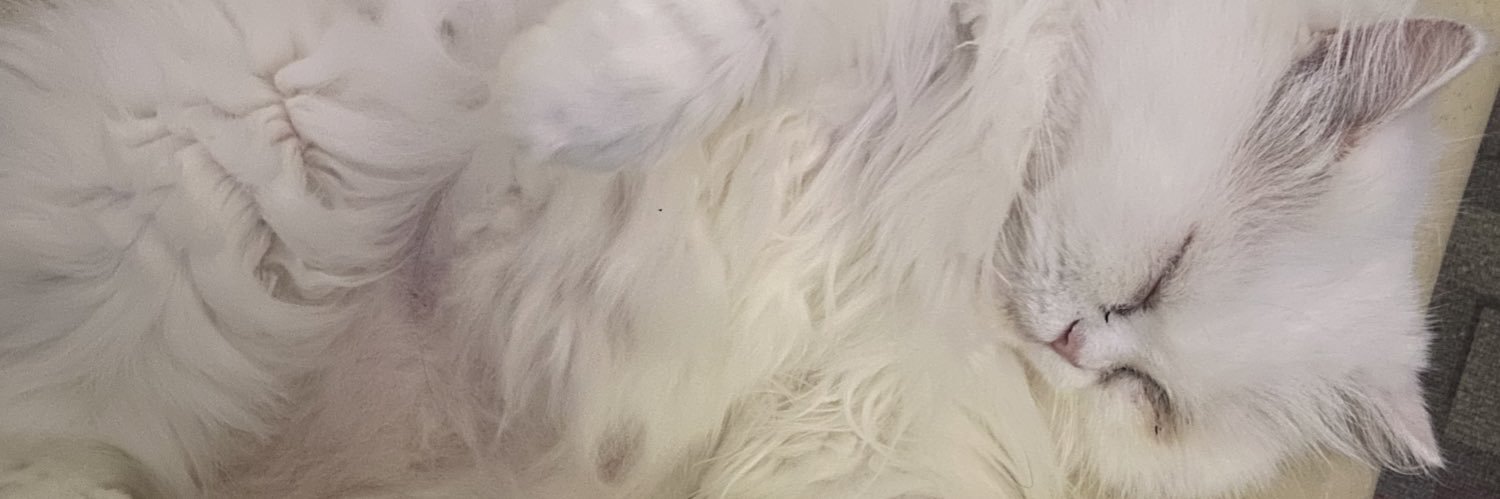 SLAYaltoria's profile banner image