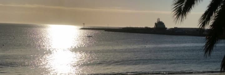 JudithCoetzee's profile banner image