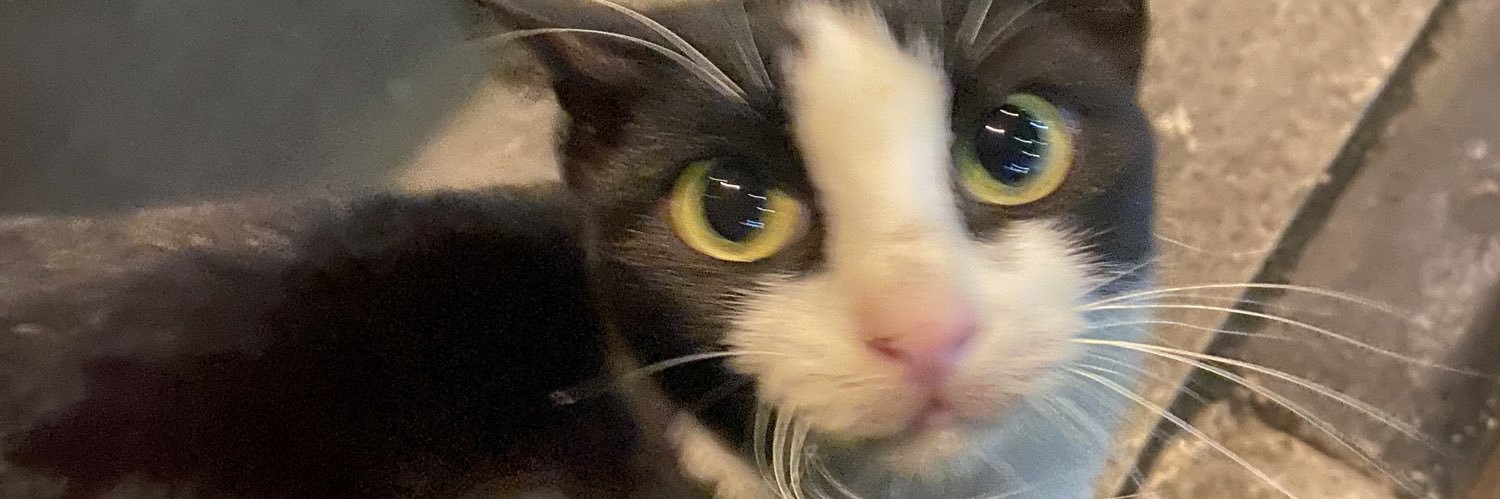 bunny___24's profile banner image