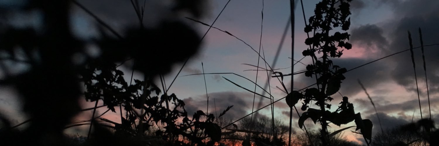 rhianna jones banner
