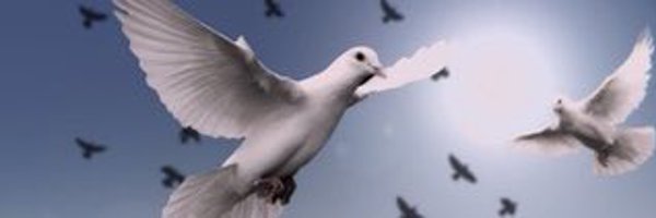 paixetliberte22 Profile Banner