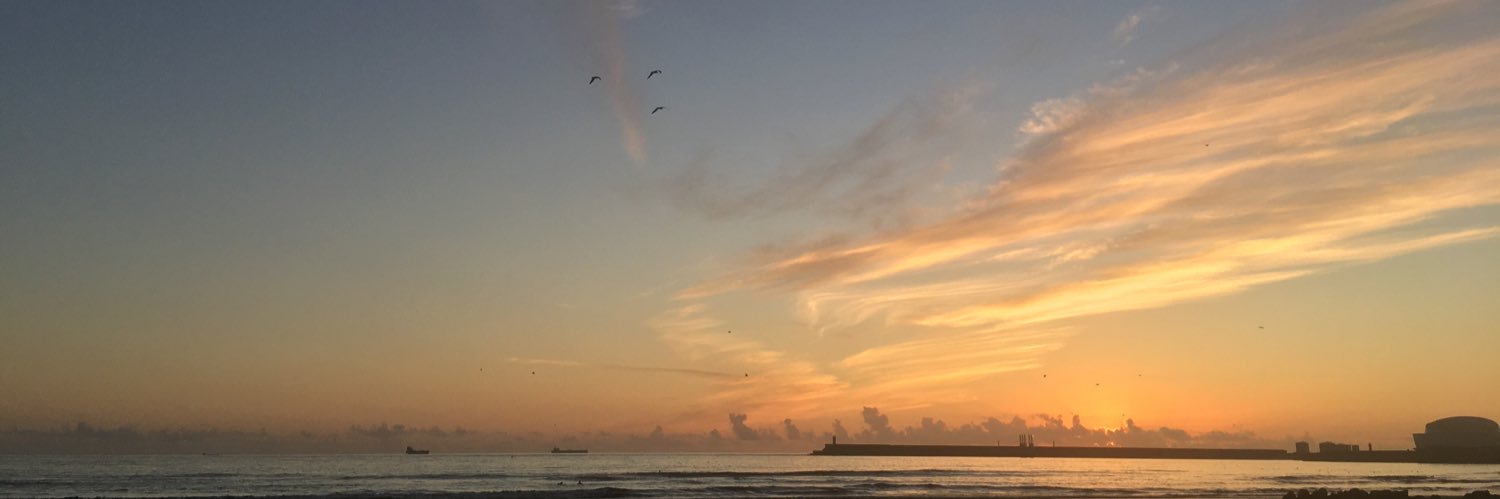 Albi Ramírez banner