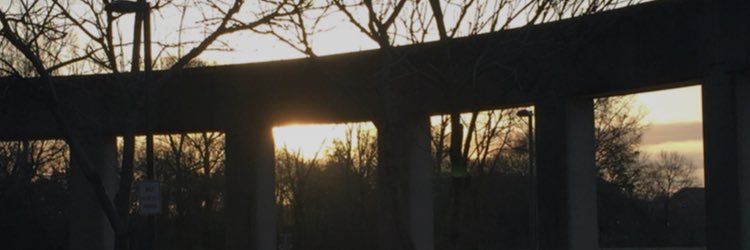 BrandonLB663's profile banner image