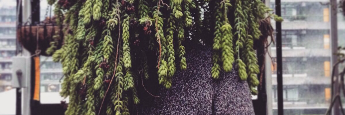 a_ronline's profile banner image