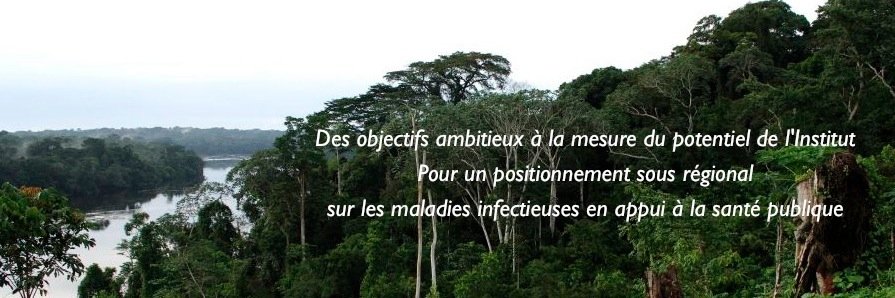 cirmf's profile banner image