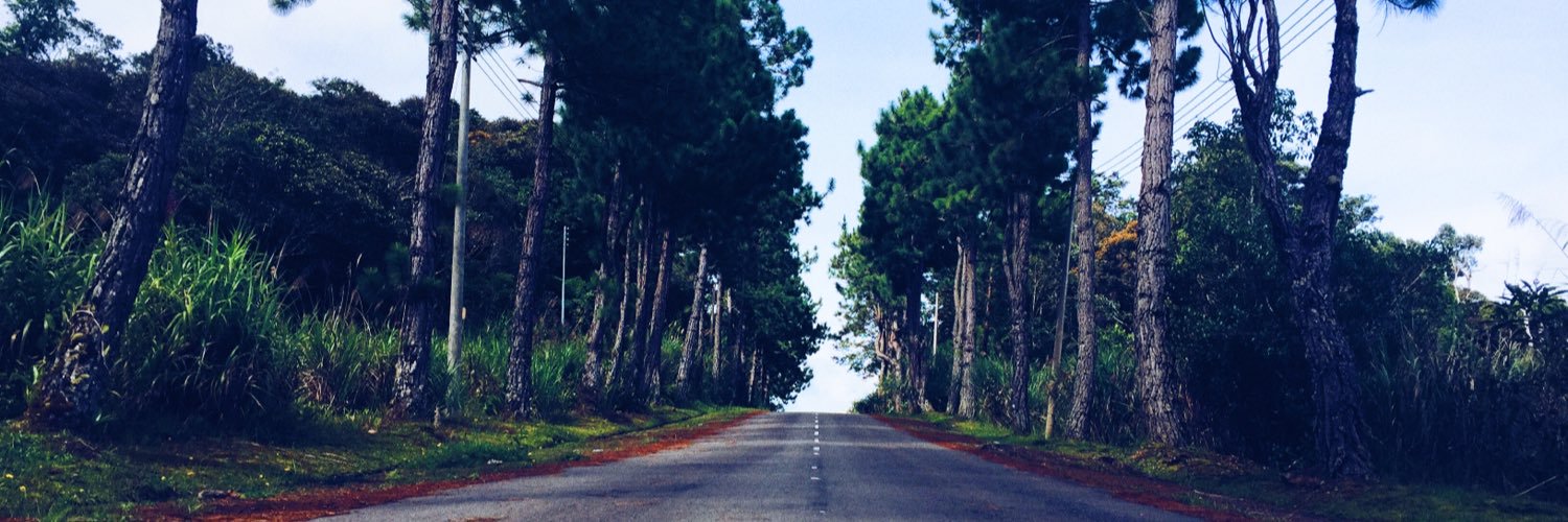 Andy___L's profile banner image