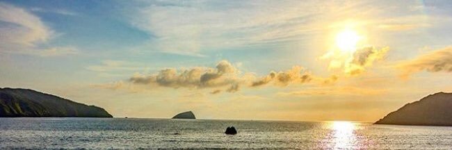 Sakae486's profile banner image