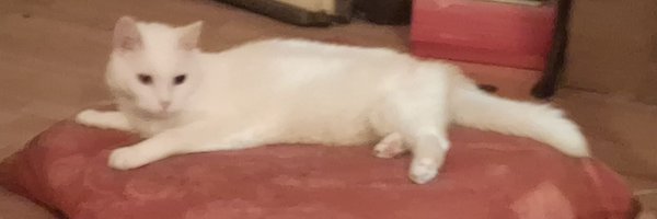 PeetAud Profile Banner