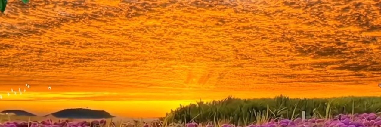 GunVlia's profile banner image