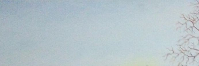 theleacastro's profile banner image