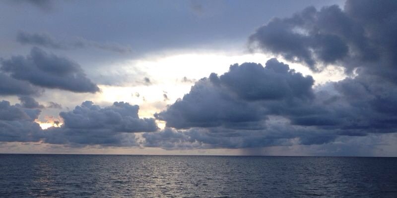 indobears's profile banner image